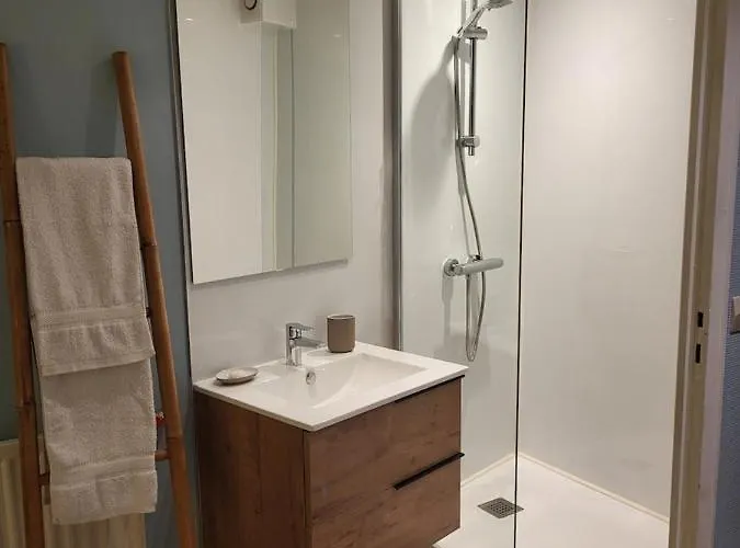 Les Glycines, T2 Near Downtown Apartment