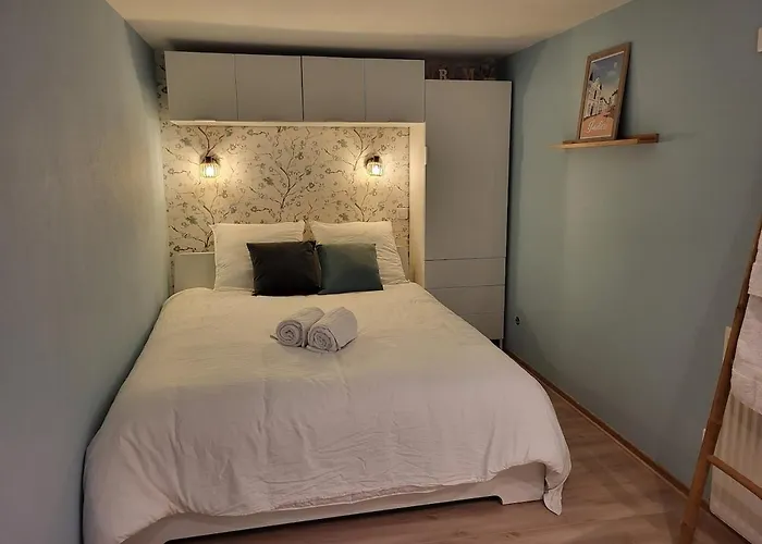 Apartment Les Glycines, T2 Near Downtown