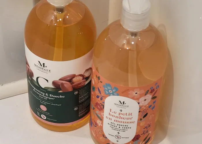 Apartment Les Glycines, T2 Near Downtown *