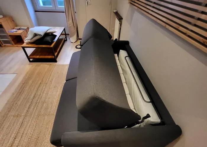 Apartment Les Glycines, T2 Near Downtown *