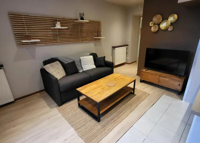 Apartment Les Glycines, T2 Near Downtown